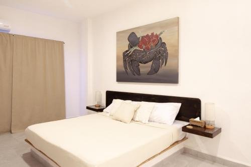 casapola_camacuadro_2