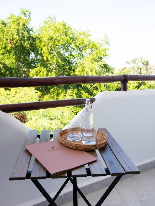 CasaPola_Balcon4